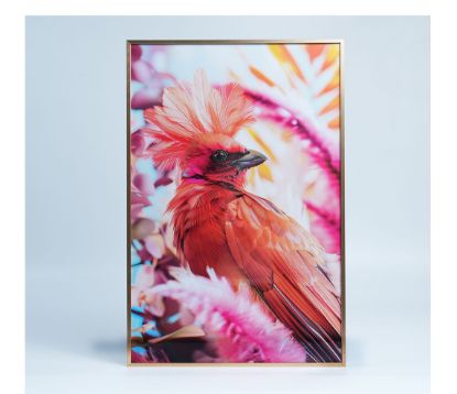 图片 框画(可替换画面)